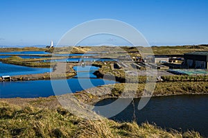 South Walney Oyster Farm photo