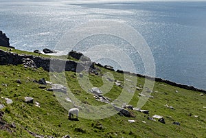 South west coast Ireland near Dingle