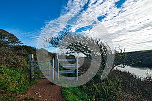 Wembury Beach