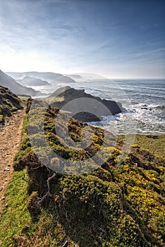 South west coast path, leading to Screda Point, Devon.