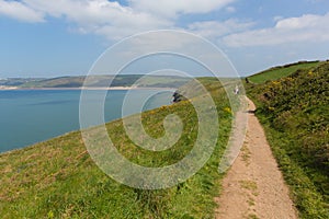 South west coast path to Woolacombe Devon England UK in summer