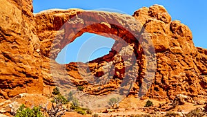 The South Window Arch in the Windows Section in the desert landscape of Arches National Park