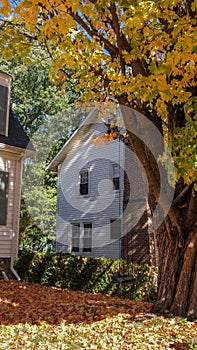 SOUTHBRIDGE, MASSACHUSETS. USA - NOVEMBER 17 2017. Old tradittional white wooden house next to a maple tree in Autumn fall hallowe