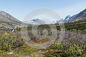 Southcentral Alaskan Landscape