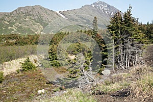 Southcentral Alaskan Landscape