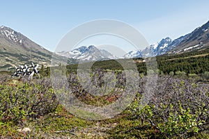 Southcentral Alaskan Landscape photo