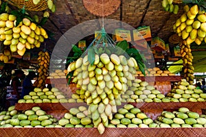 Southeast Asia, Philippines, Guimaras Island. May 12, 2019 Mango festival. Stand with fresh mango fruits in the street market