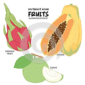 Southeast asian fruit illustration dragon fruit papaya and guava