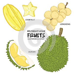 Southeast asian fruit illustration vector set