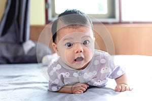 Southeast Asian new born is creeping on the floor. Newborn is wearing gray shirt. Baby is South East Asian. Kid is cute.