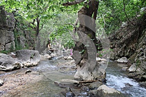 Southeastern Anatolia