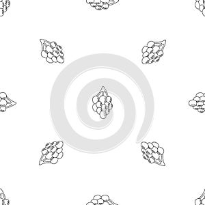 Southerly grape pattern seamless vector photo