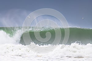 Southerly Swell at the Seaside