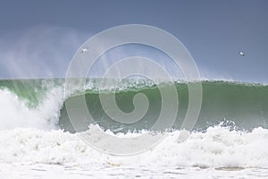 Southerly Swell at the Seaside photo