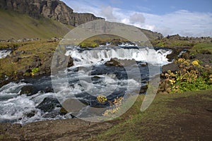 Southerm Iceland landscape with a river