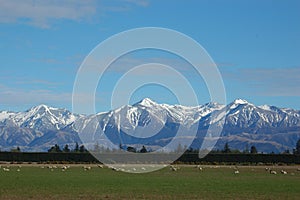 Southern Alps