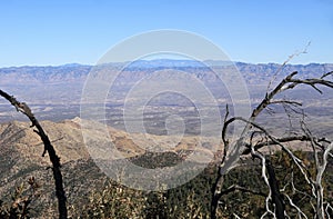 Southern Arizona: View into San Pedro River Valley from the Santa Catalina Mountains