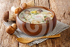 Southern Bohemian Potato Mushroom Soup Kulajda close-up in a bowl. Horizontal