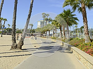 Southern California Beach Scene with Surf, Sun and Palm Trees