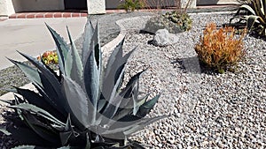 Southern California Rock Garden with Gravel and Cactus photo