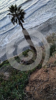 Southern California Sunset Beach Scenes - Encinitas.