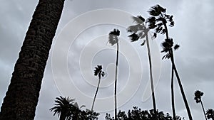 Southern California Sunset Beach Scenes - Encinitas.