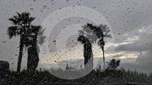 Southern California Sunset Beach Scenes - Encinitas.