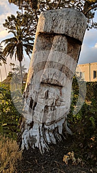 Southern California Sunset Beach Scenes - Encinitas.