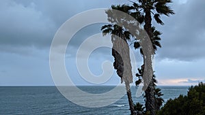 Southern California Swamis Beach.