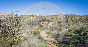 Southern California Wilderness Walking Path