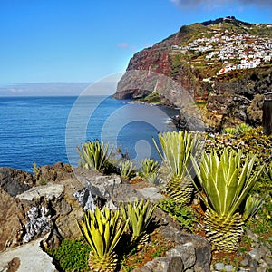 Southern Coastline Madeira Island, Portugal