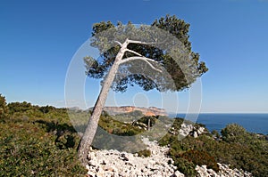 Southern france coastline