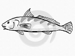 Southern Kingfish South Carolina Inshore Fish Cartoon Retro Drawing