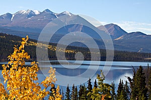 Southern Lakes area, near Carcross, Yukon