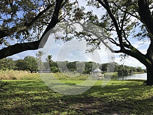 Southern live oak trees near the lake in Topeekeegee Yugnee park, Florida