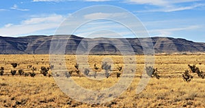 Southern New Mexico landscape