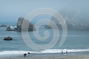 Southern Oregon beach, fog rising