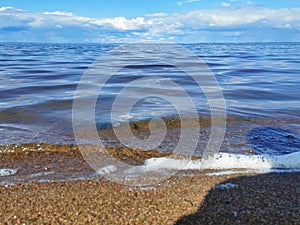 southern shore of the Gulf of Finland sand pine blue sky