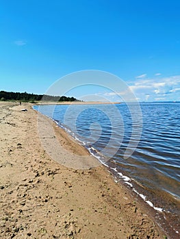 southern shore of the Gulf of Finland sand pine blue sky