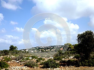 On the southern slope of the famous biblical mountain Carmel is Rothschild Park