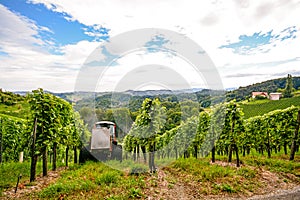 Southern Styria Austria - Grape vines: Tractor in steep vineyard