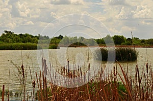 Southern Texas Lake, Rio Grande Valley