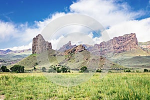 Southfork Shoshone River Valley Landscape