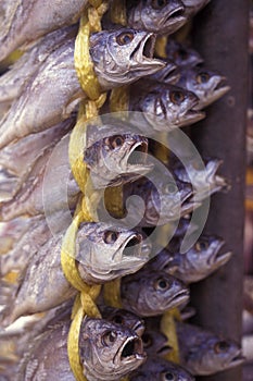 SOUTHKOREA SEOUL MARKET FISH