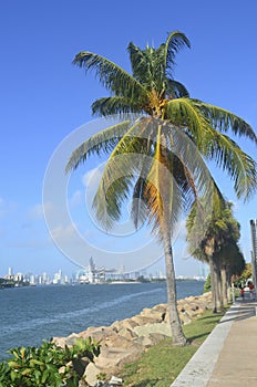 Southpointe Park Promenade