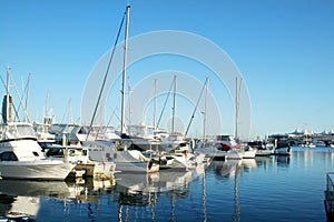 Southport Marina Gold Coast photo