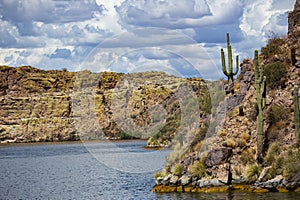 Southwest Arizona Landscape: Canyon, Lake and Saguaro Cactus