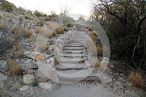 Rio Grande Village Campground Nature Trail in the Morning