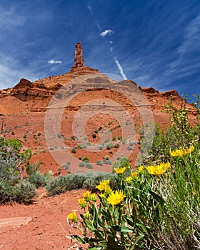 Southwest Canyon Landscape Outside Moab Utah USA