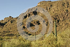 Southwest Desert Background